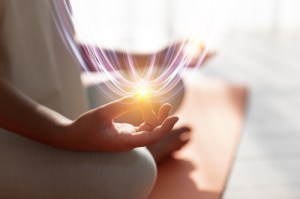 Holistic wellness activities at Pro Companion